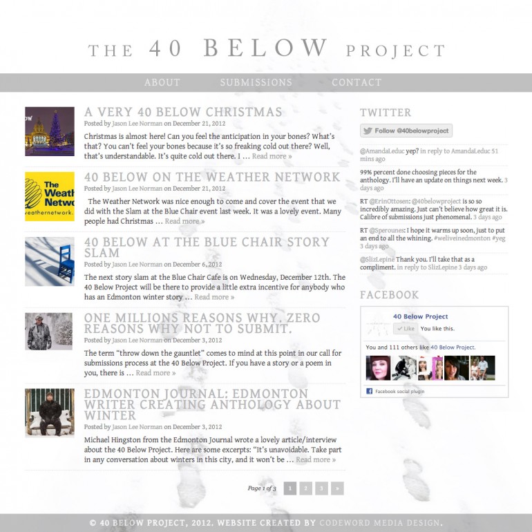 40 Below Project Website